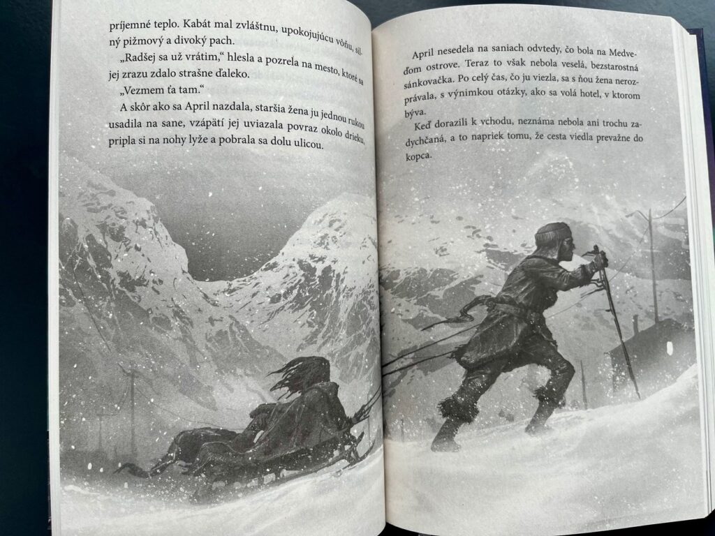 zachránený medvedík