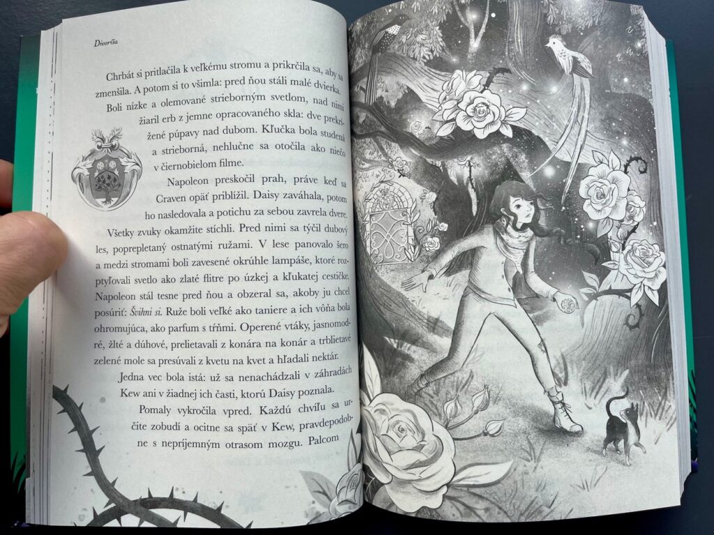 divorisa magický svet